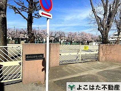 府中市立新町小学校 430m