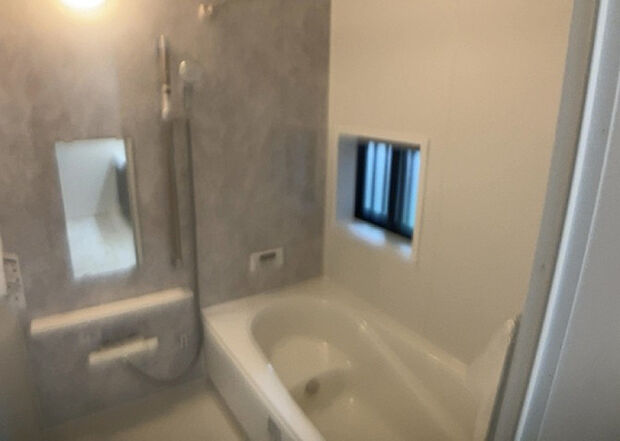 入浴時の快適さも大事なことですが、綺麗な状態を維持できなければ気持ちよく入浴できません。毎日の掃除が楽という点は大事なポイントになります!カビが生えにくく掃除がしやすい、壁や浴槽を選ぶといいでしょう。