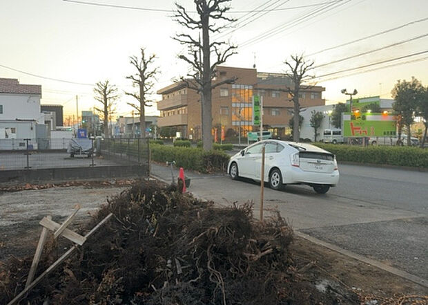 桜や紅葉の名所に出かける人は多いと思いますが、家にいながら季節の移ろいを感じる生活を送りませんか？リビングや窓から見える景色が生活を彩るワンポイントに！現地から見える景色を堪能してみては如何でしょう。