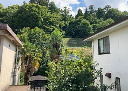 物件からの展望