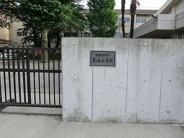 星が丘小学校(約893m)