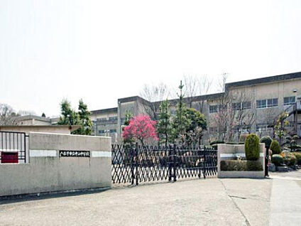 中山中学校 440m(徒歩6分)