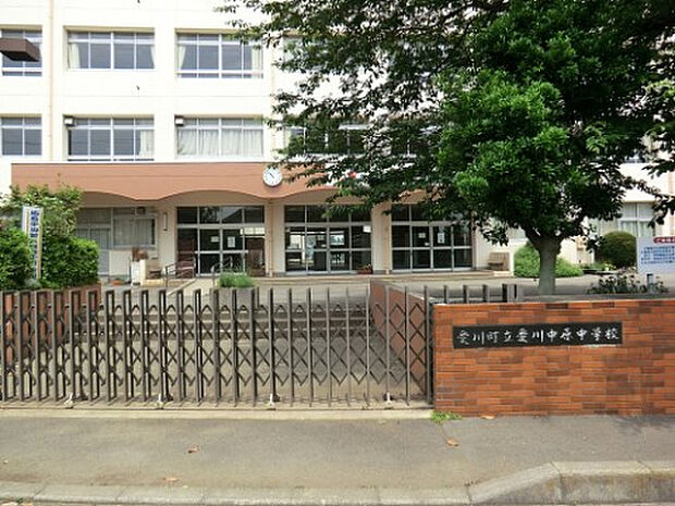 愛川中原中学校(約733m)