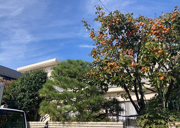 【物件からの展望_3】田園風景が味わえる土地に住みたい!海や山の見える自然豊かな土地に住みたい!などご要望に併せて当社営業がご提案させて頂きます。当社が抱えている数ある物件の中からお客様が納得する1件を一緒に探しましょう!