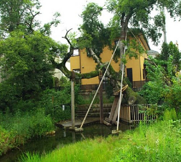 叶谷公園(約190m)