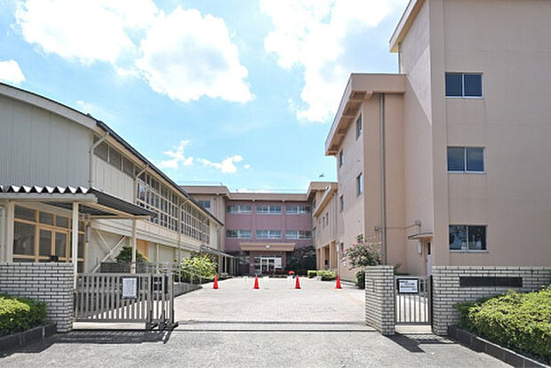 くぬぎ台小学校(約704m)