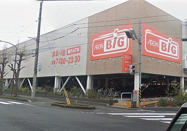 ザ・ビッグ相模原東橋本店(約696m)