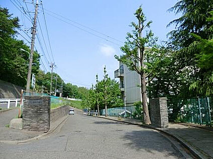 薬師中学校 927m(徒歩12分)