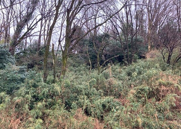 【物件からの展望】眺望を気にして物件を探す場合、前面に建物が建っていないか現地で確認しましょう！前面に建物があると景色はもちろん、日当たりや風通しにも影響が出てきます。住んだ時のことを想像しながら現地見学をしましょう。