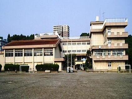 入谷小学校 559m(徒歩7分)
