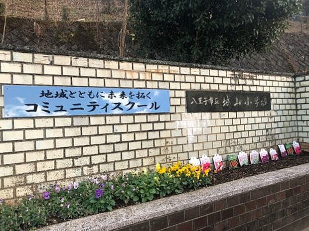 城山小学校(約1,364m)