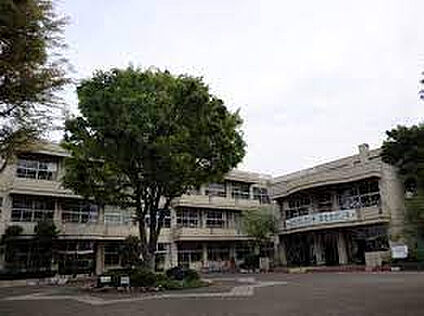 若松小学校 496m(徒歩7分)