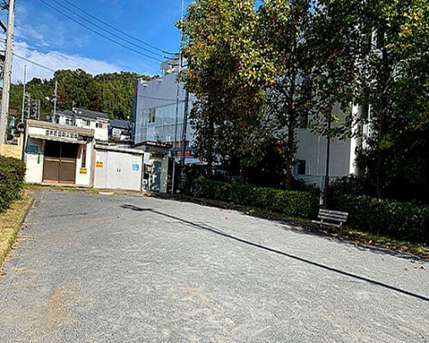 並木なかよし公園（約234m）