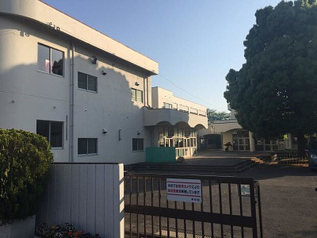 青葉小学校（約550m）