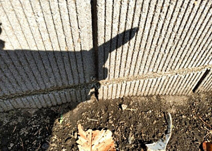 構造・工法・仕様_2