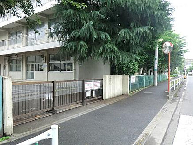 桜台小学校(約625m)