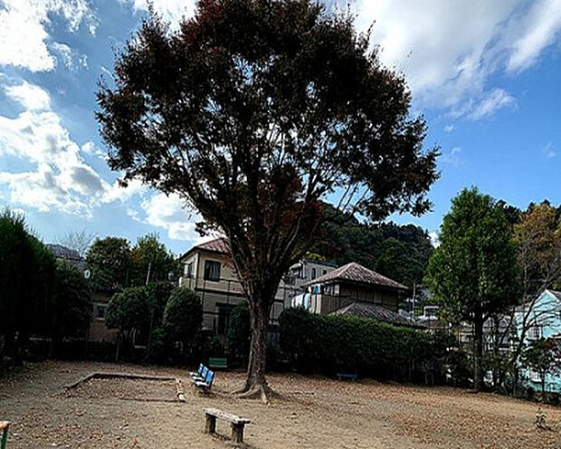 高尾上宿公園(約317m)