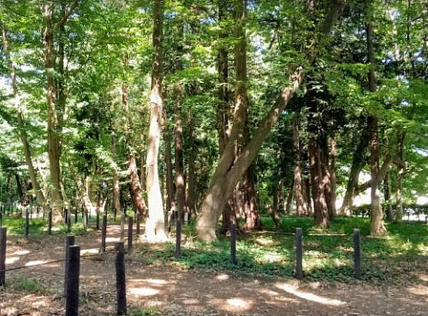 古淵鵜野森公園(約2,459m)