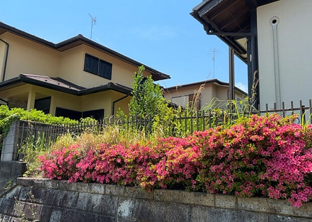 【物件からの展望_3】田園風景が味わえる土地に住みたい!海や山の見える自然豊かな土地に住みたい!などご要望に併せて当社営業がご提案させて頂きます。当社が抱えている数ある物件の中からお客様が納得する1件を一緒に探しましょう!