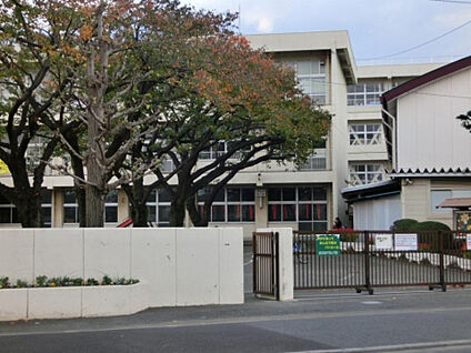 大野台小学校 603m(徒歩8分)