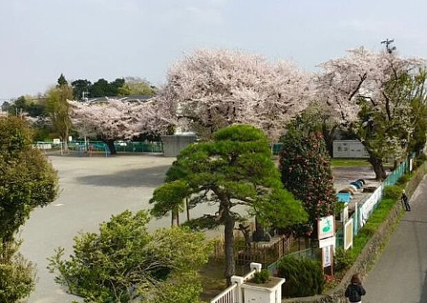 栗原小学校（約849m）
