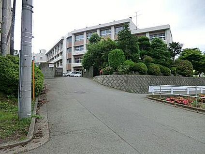 相模丘中学校 1613m(徒歩21分)