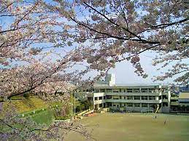 中原小学校（約868m）