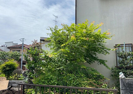 物件からの展望_3