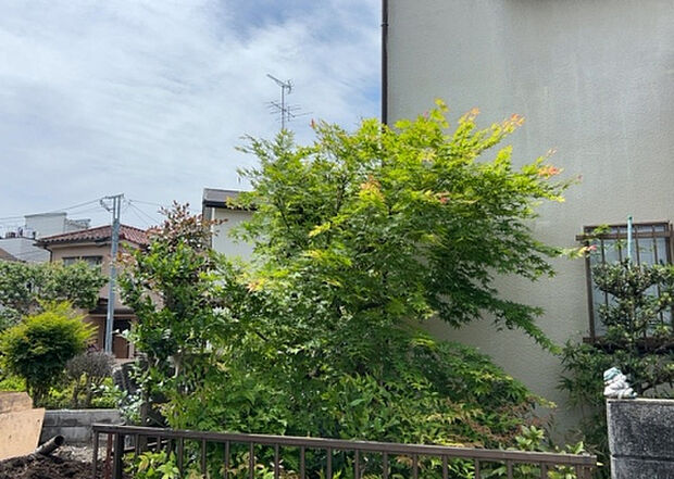 【物件からの展望_3】田園風景が味わえる土地に住みたい！海や山の見える自然豊かな土地に住みたい！などご要望に併せて当社営業がご提案させて頂きます。当社が抱えている数ある物件の中からお客様が納得する1件を一緒に探しましょう！