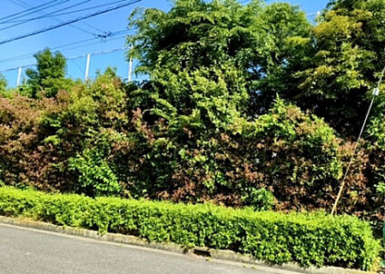 物件からの展望_2