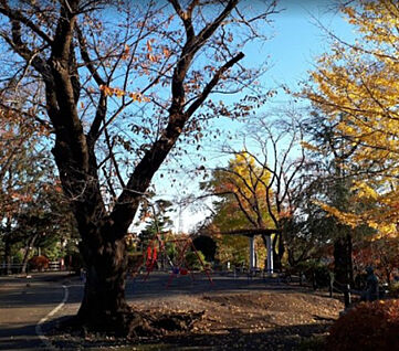座間公園 408m(徒歩6分)