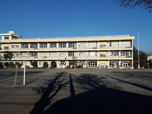緑台小学校（約210m）