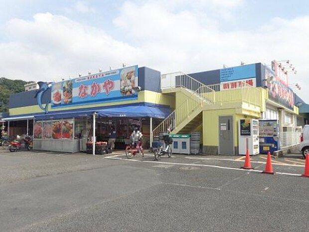 なかや入谷店(約1,186m)