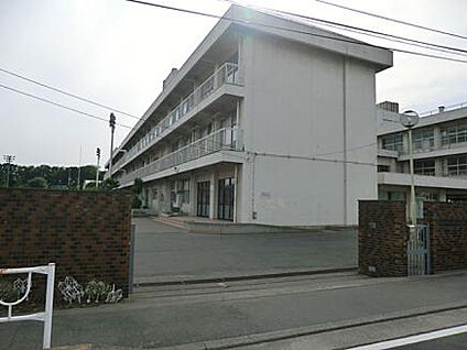 横山小学校 990m(徒歩13分)