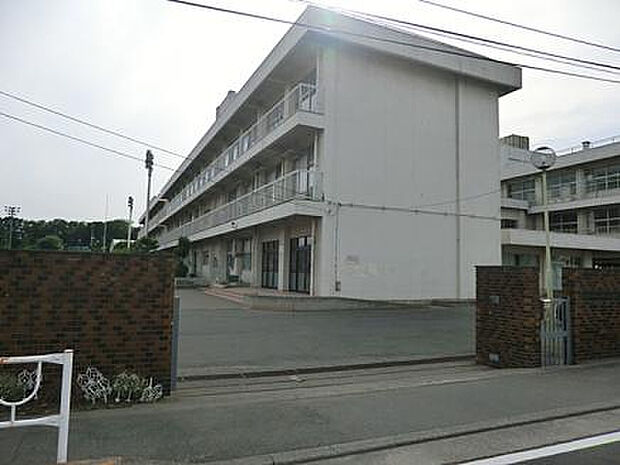 横山小学校(約990m)