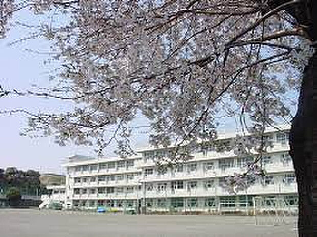立野台小学校(約175m)
