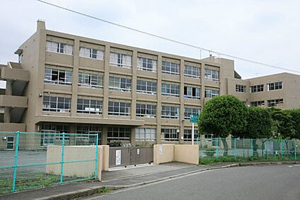 林中学校 453m(徒歩6分)