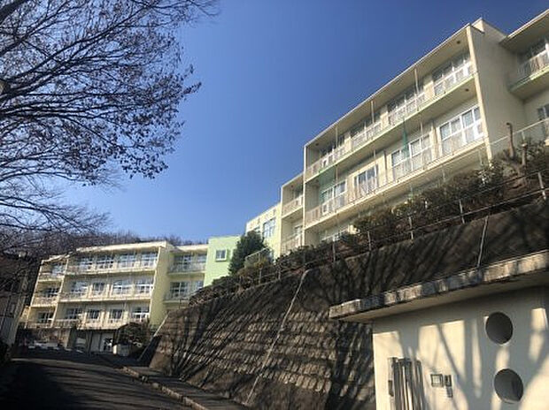 小宮小学校(約870m)