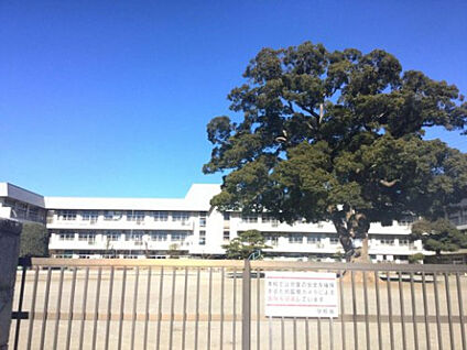 新磯小学校 648m(徒歩9分)