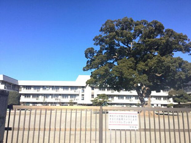 新磯小学校(約648m)
