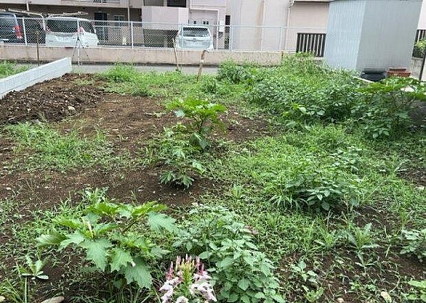 【物件からの展望_3】田園風景が味わえる土地に住みたい!海や山の見える自然豊かな土地に住みたい!などご要望に併せて当社営業がご提案させて頂きます。当社が抱えている数ある物件の中からお客様が納得する1件を一緒に探しましょう!