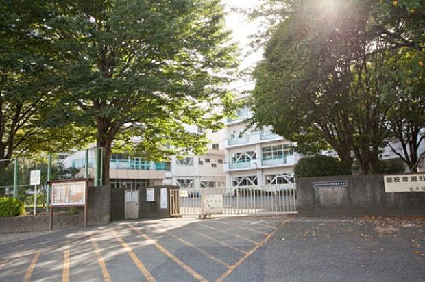 南大谷中学校(約237m)