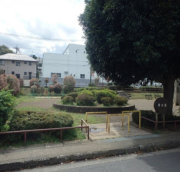 椿公園(約248m)