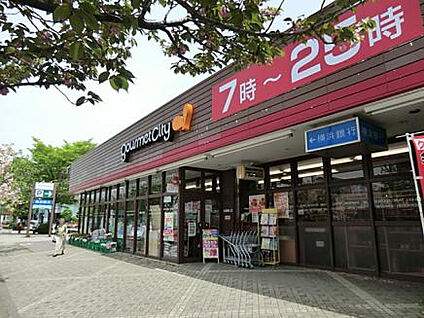 グルメシティ鶴川緑山店 420m(徒歩6分)
