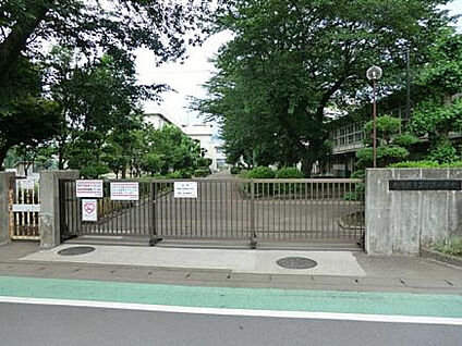 双葉小学校 866m(徒歩11分)