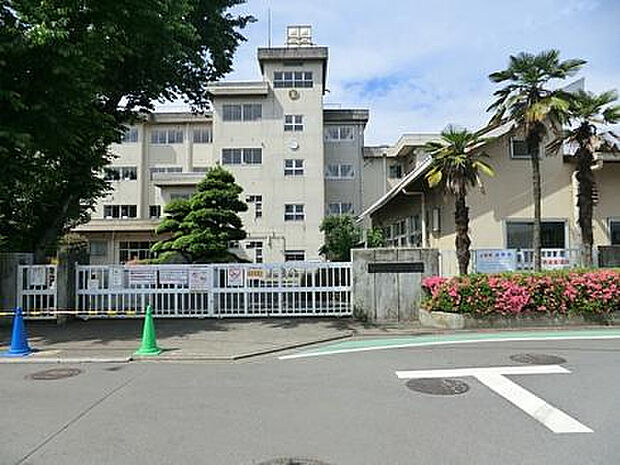 大島小学校(約764m)