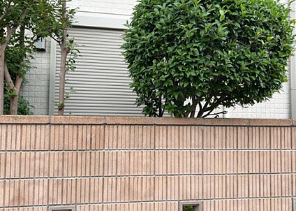 物件からの展望_2