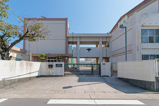 苗代小学校(約720m)