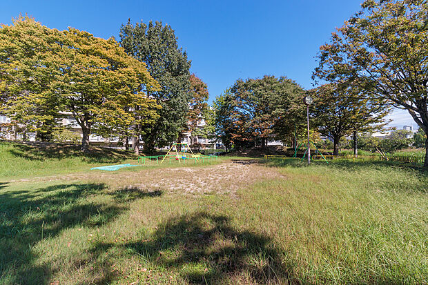 姥ヶ崎南公園(約160m)