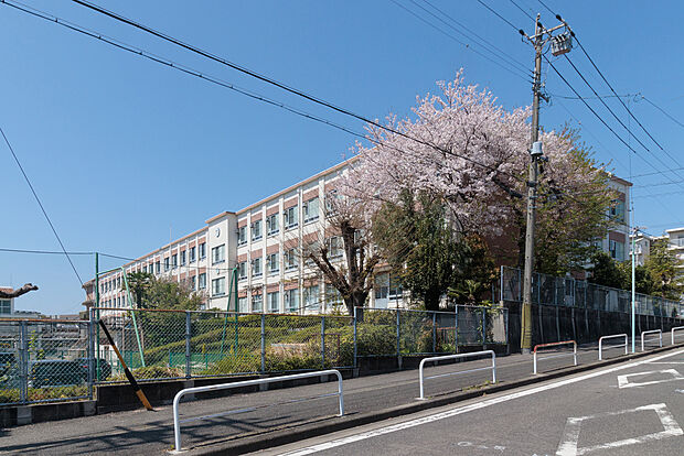 たかしま小学校（約1,040m）